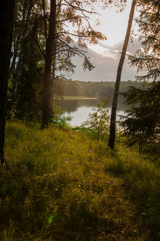 Sunset on the lake, Голынки