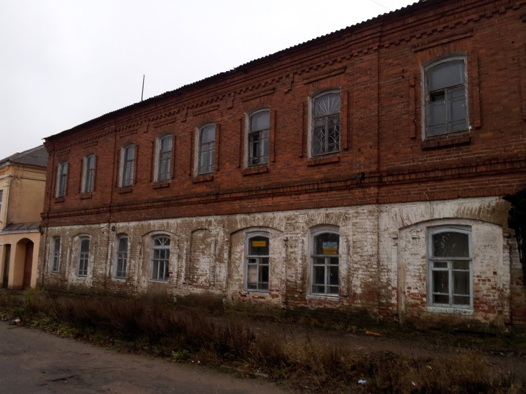 Старинное здание, Демидов