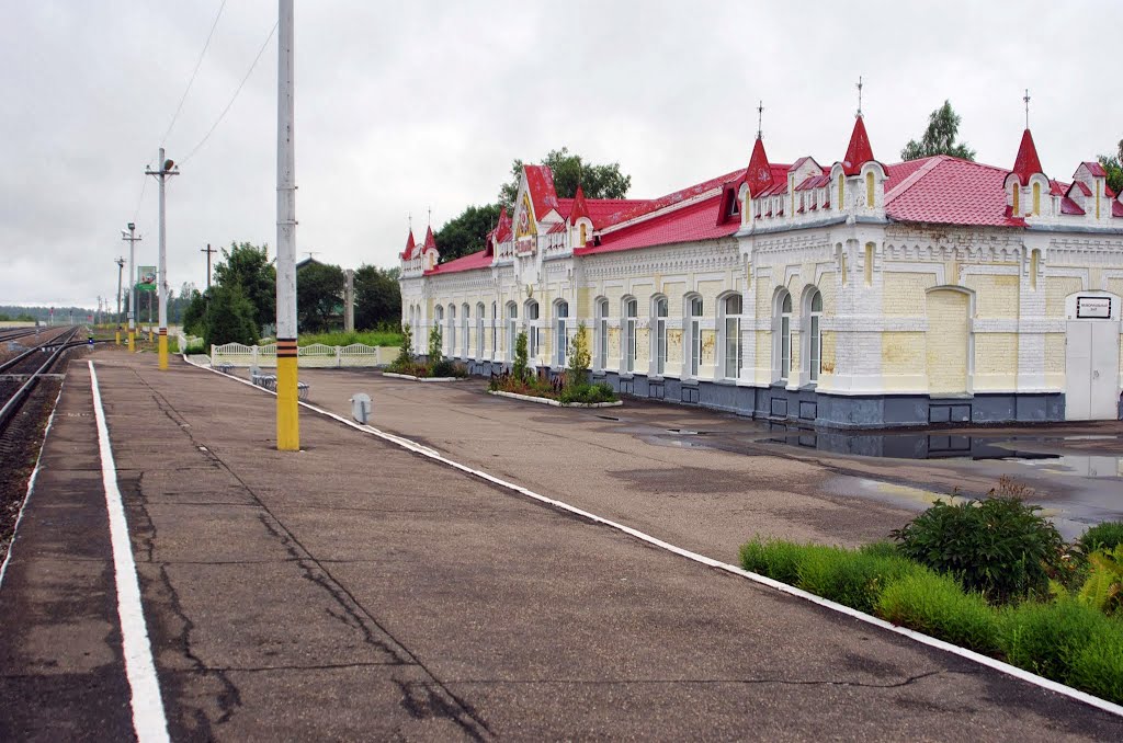 Железнодорожный вокзал Ельня Railway station Elnya, Ельня