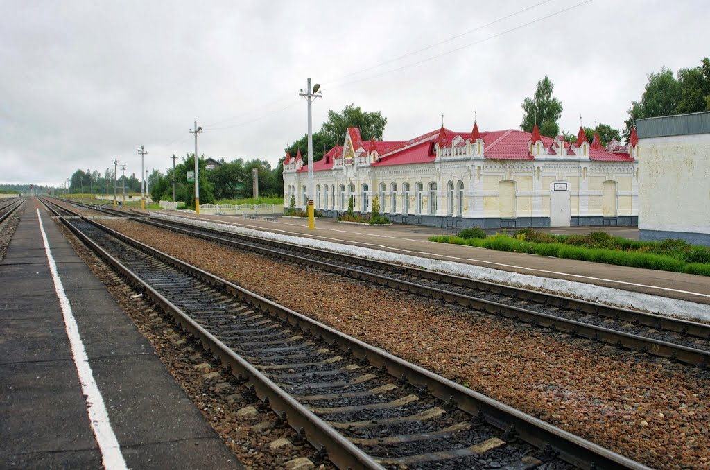 Железнодорожный вокзал Ельня, Ельня