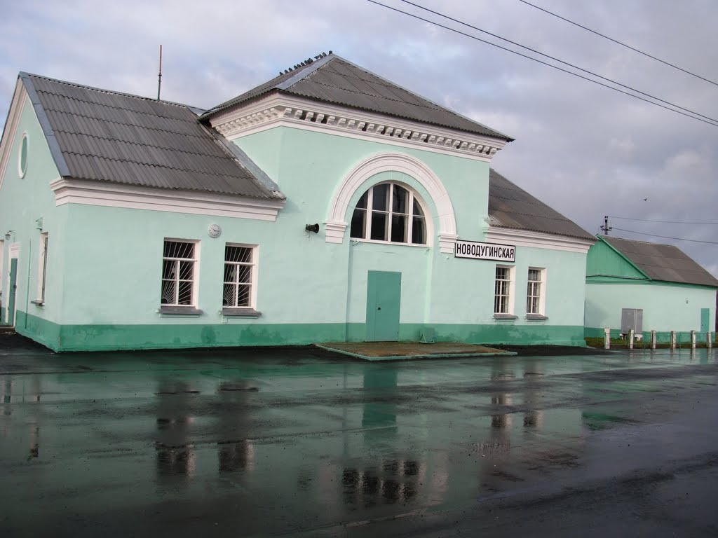 вокзал, Новодугино
