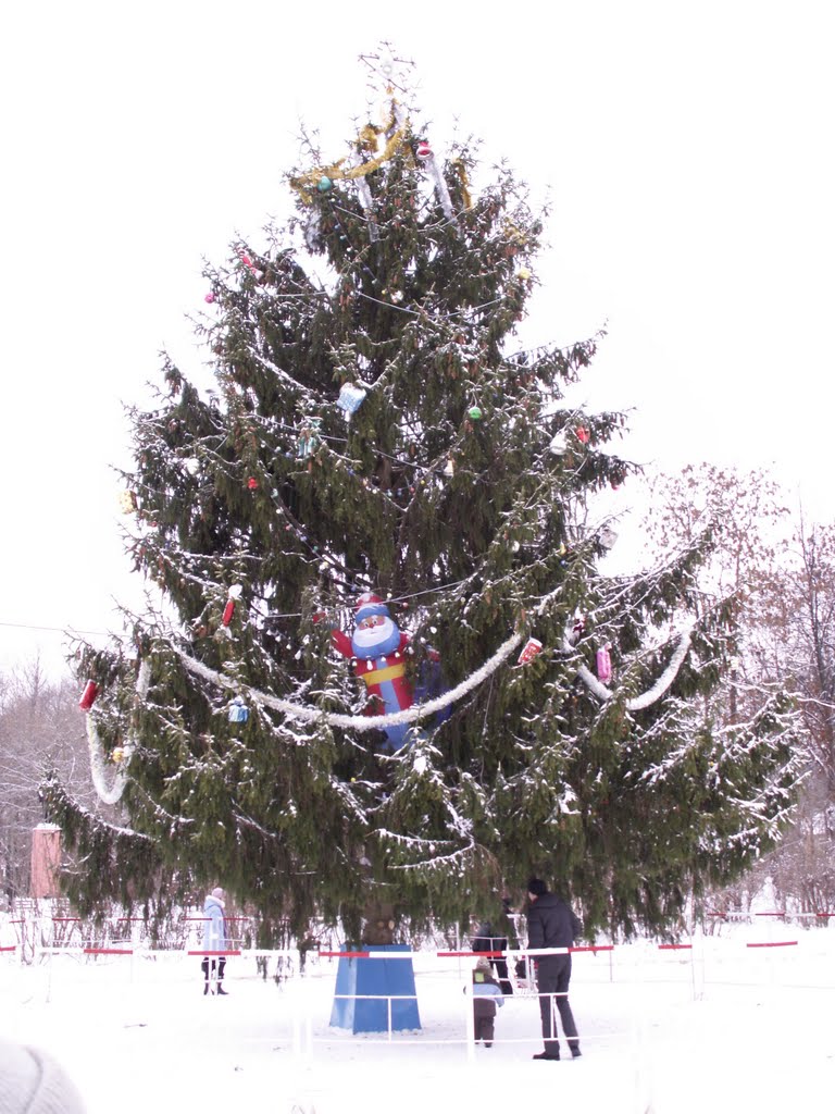 Новогодняя елка на центральной площади города..., Сафоново
