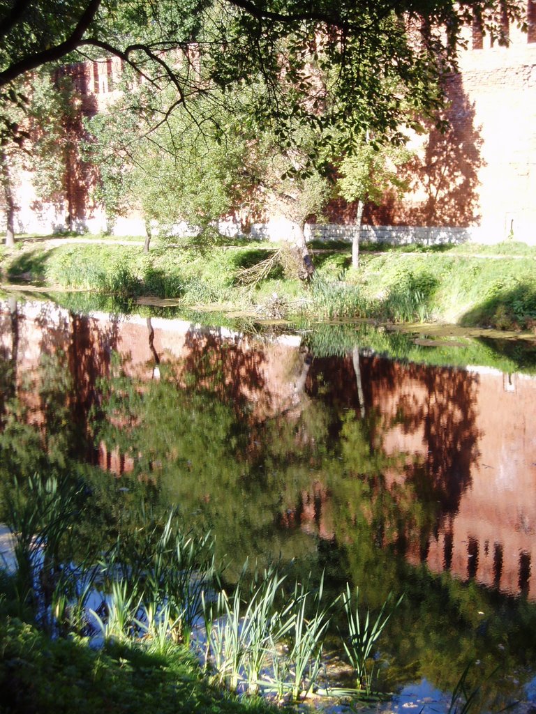Mirror-view pool, Смоленск