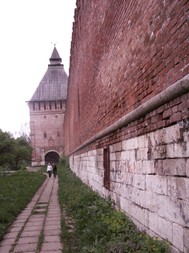 У крепостной стены с видом на Копытенские ворота..., Смоленск