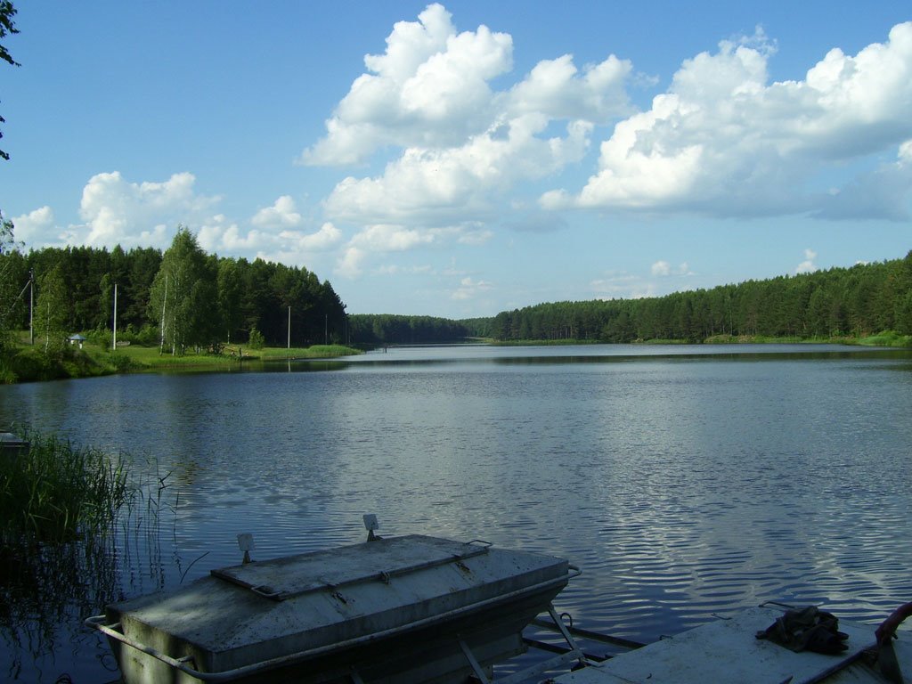 Озеро в Лазовице, Шумячи