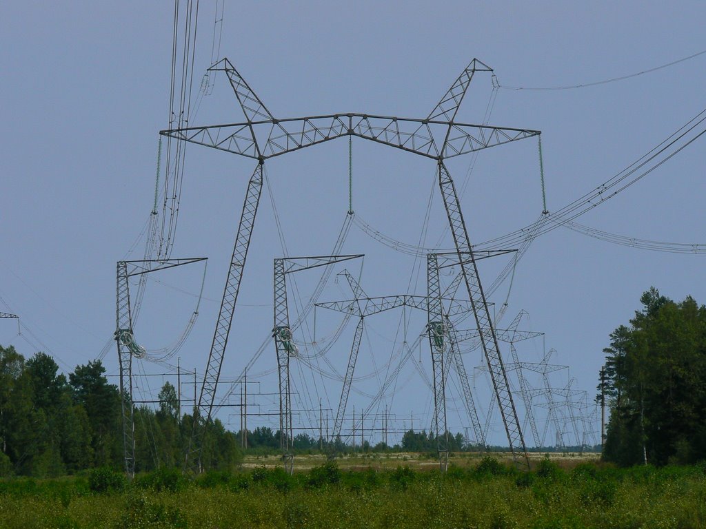 High voltage-2, Шумячи