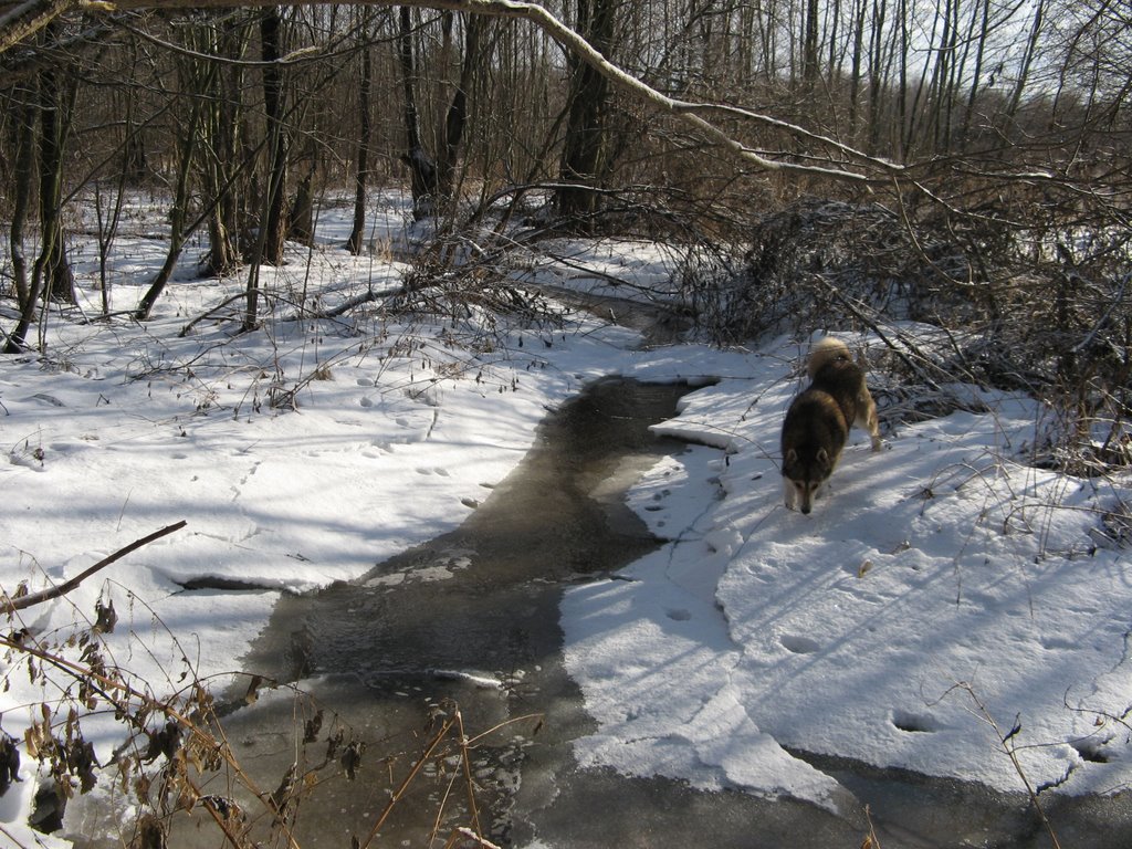 зимой река кохла, Шумячи