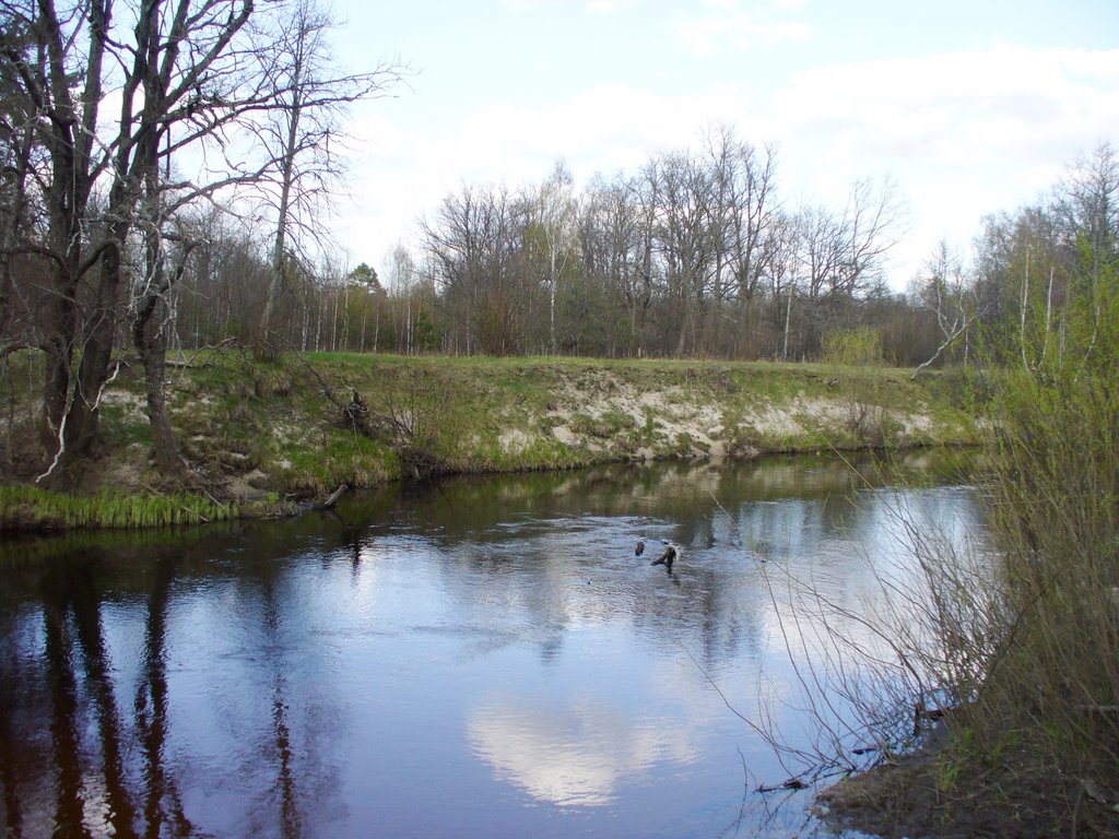 река Надва, Клетнянский р-н, Брянская область, Россия. Апрель 2007 года, Шумячи