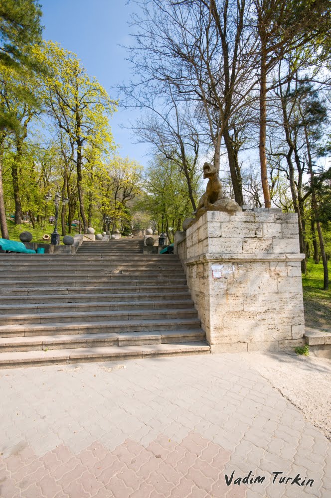 барсы на входе в парк, Железноводск