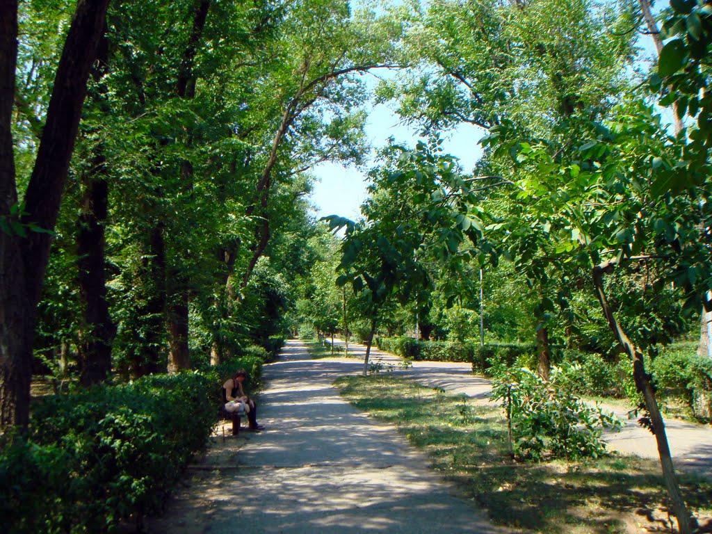 Парк 200 летия буденновск фото Парк 200 летия буденновск фото