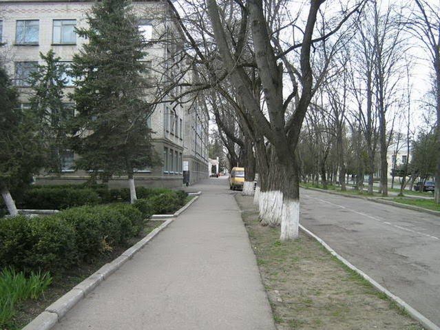 Батарейка октябрьская ул 131 георгиевск фото Батарейка октябрьская ул 131 георгиевск фото