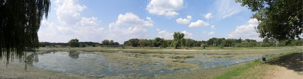 Городское озеро. Август 2011, Георгиевск