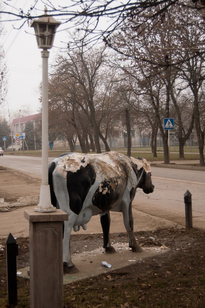 Коровка на улице Гагарина, Георгиевск