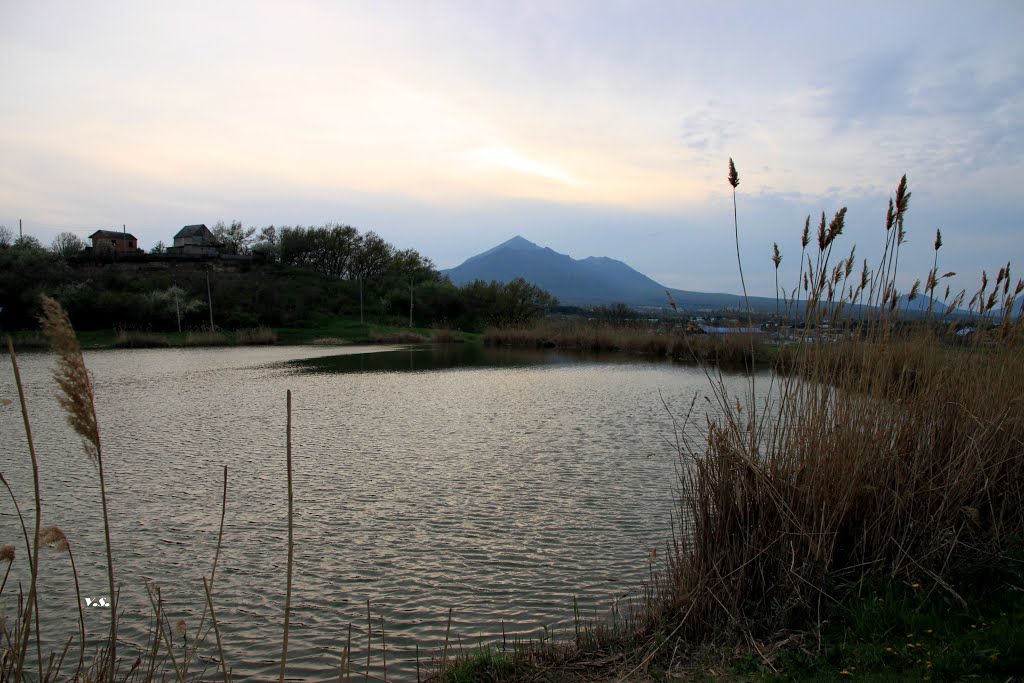 иноземцево озеро Озеро, Природа, Город