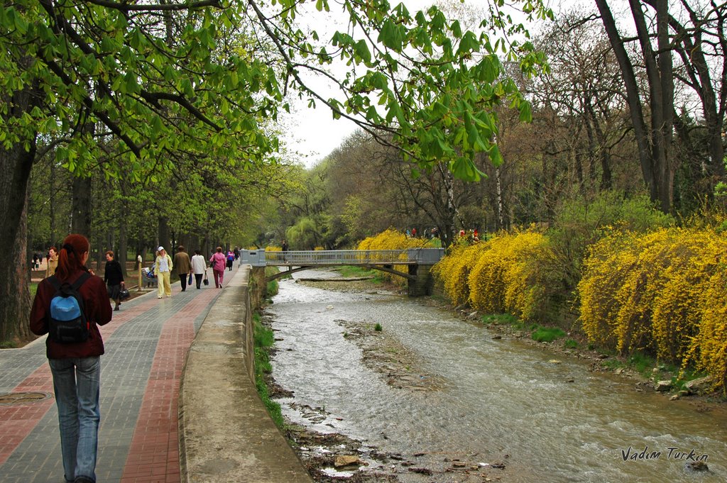 Вдоль реки в парке, Кисловодск