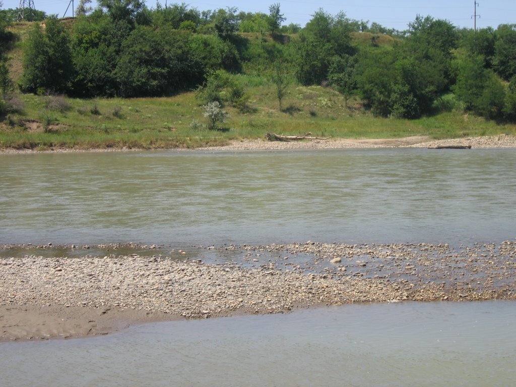 River Kuban near Kochybeevskoe, Кочубеевское