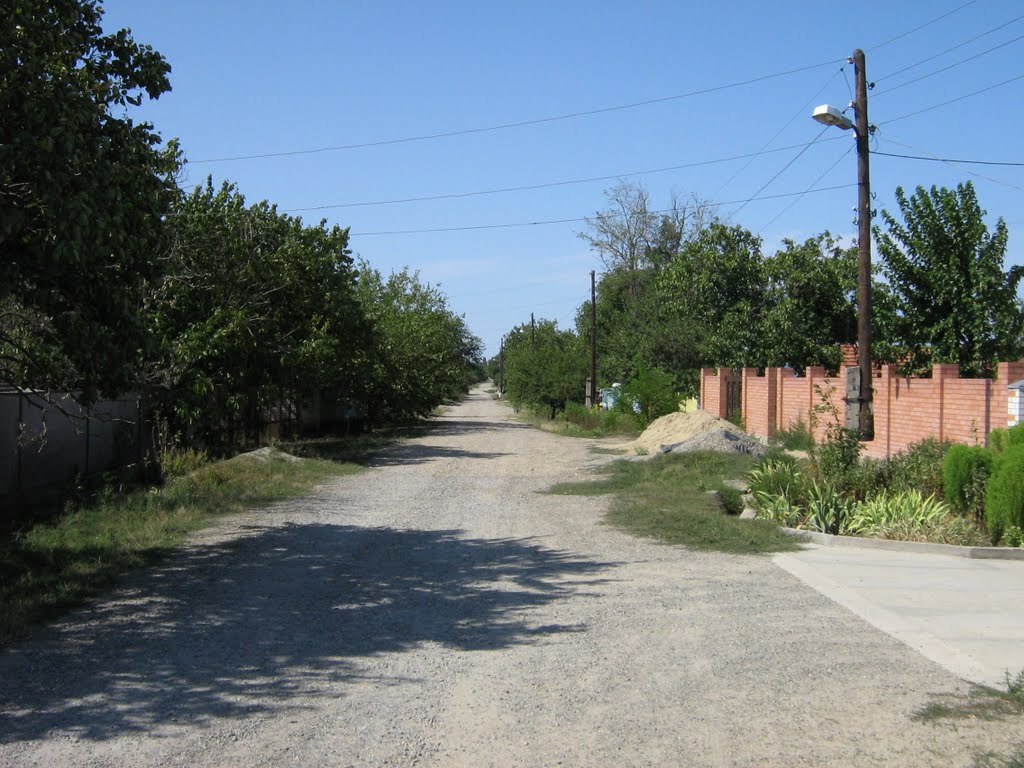 Село Кочубеевское, улица Вольная, вид на ЮЗ, Кочубеевское