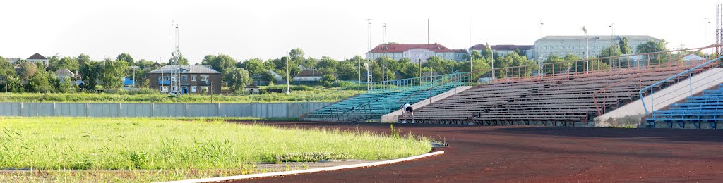 Панорама. Курсавка. Стадион изнутри. Вид на Роддом и поликлинику., Курсавка