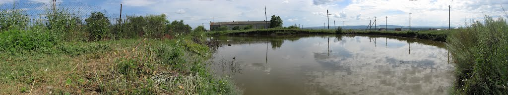 Панорама. Курсавка - пруд ПДУ. Место купания детей., Курсавка