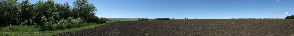 Панорама. Поле южнее элеватора. Слева Воровсколесские горы. Сзади (за лесополосой) трасса. Стоянка в лесополке около южного выезда из Курсавки, Курсавка