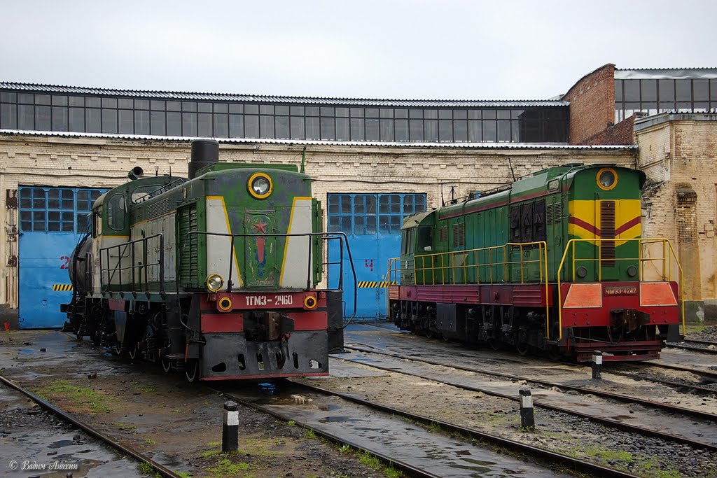 Diesel shunters TGM3B-2460 and ChME3-4242 in depot of train station Mineralnye Vody, Минеральные Воды