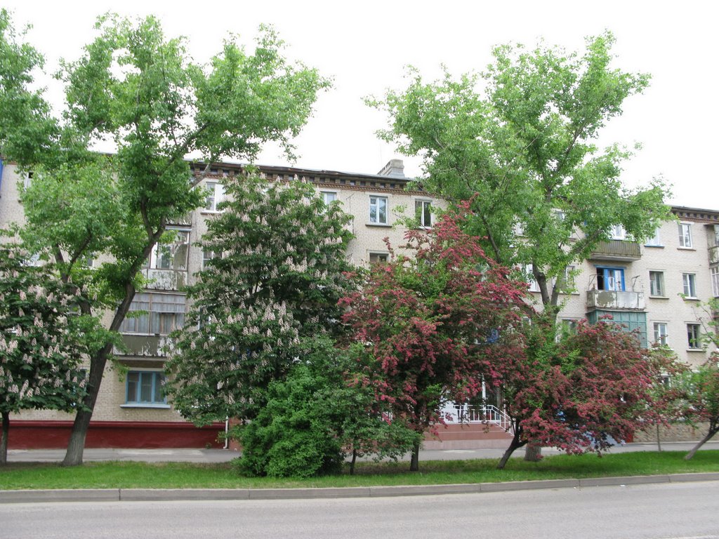 Улица Гагарина (Gagarin st.) 1, Невинномысск