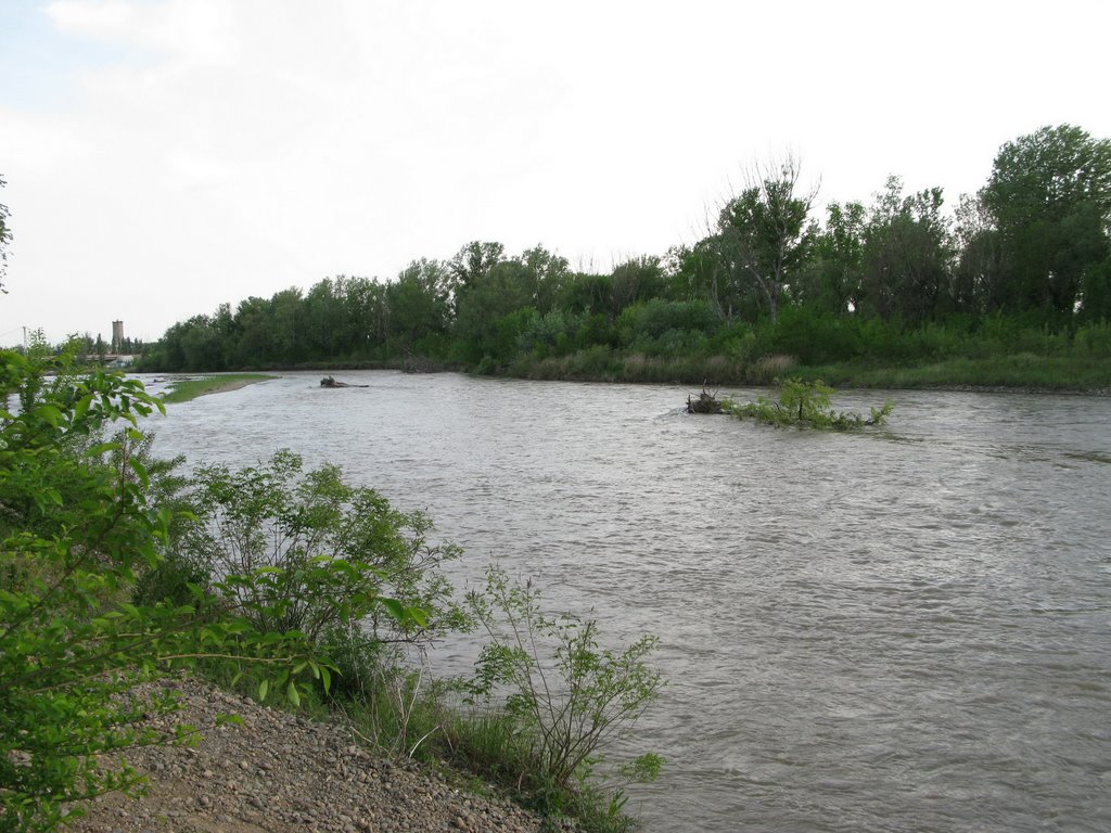 Kuban river, Невинномысск