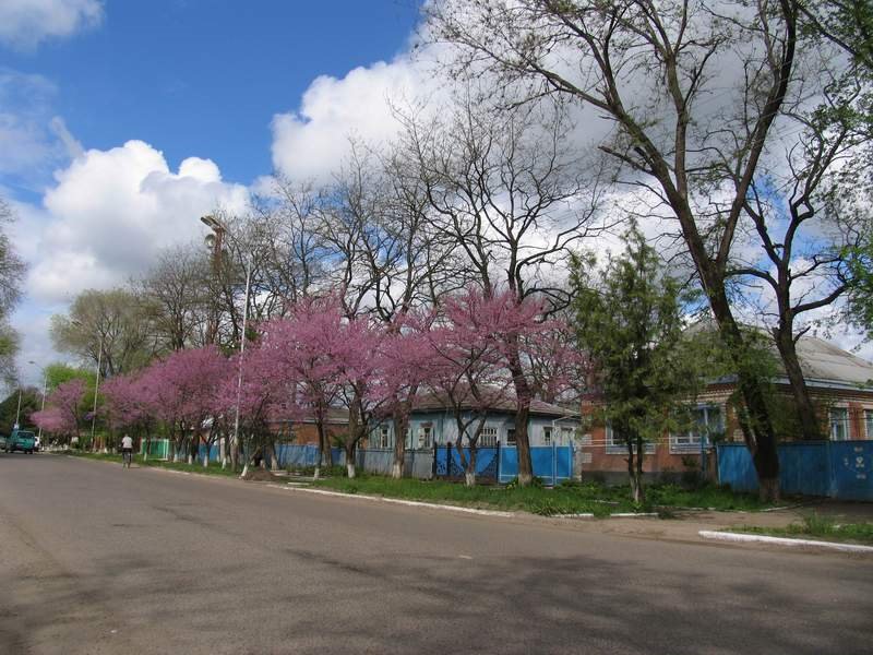 Новоалександровск ставропольский край фото Новоалександровск ставропольский край фото