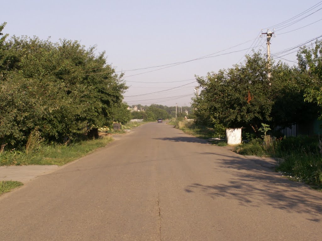 улица Залесного, Новоалександровск