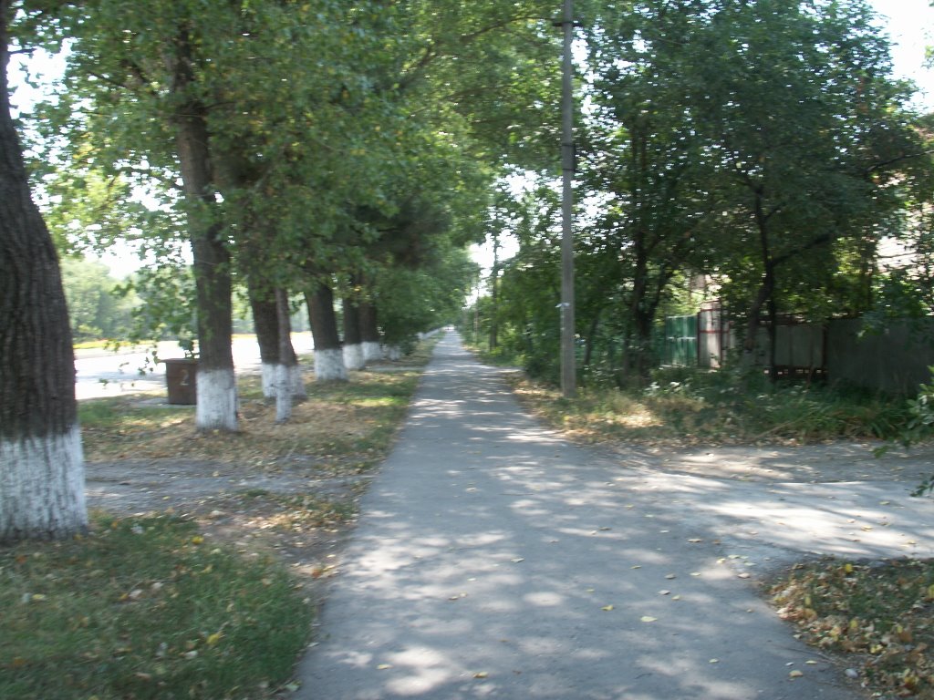 Новопавловск. ул. Ставропольская, Новопавловск