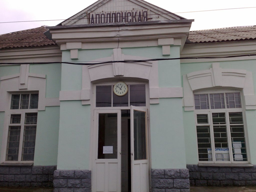 Ночь кино во Дворце культуры им. С.М. Романько 2019, Кировский район - дата и ме