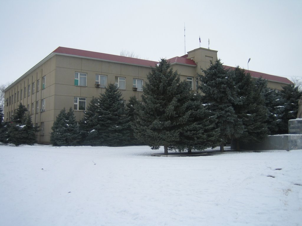 Центральная площадь, Новоселицкое