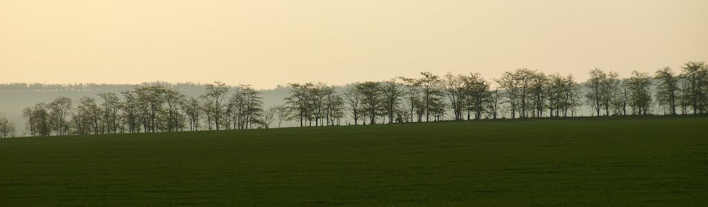 The Stavropol fields., Преградная