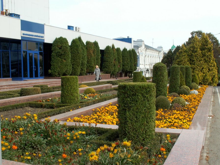 Thuja, box and marigolds, Ставрополь