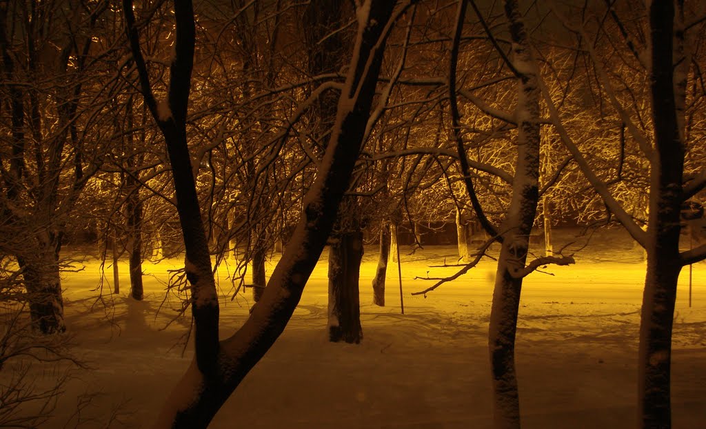 ул. Дзержинского зимой, Ставрополь