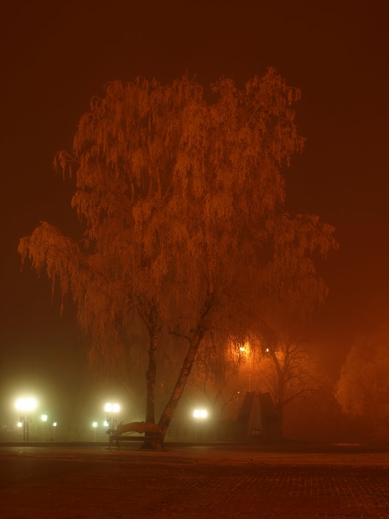 Night in city centre, Ставрополь