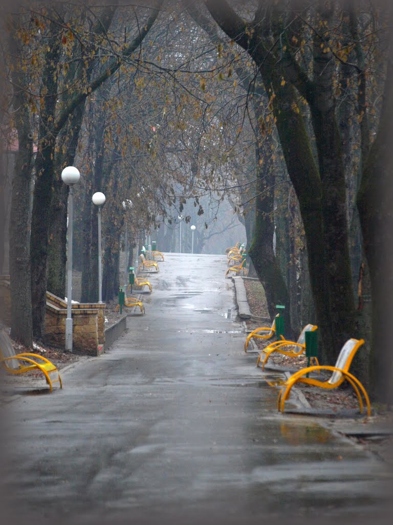 The prospectus. December 2011, Ставрополь