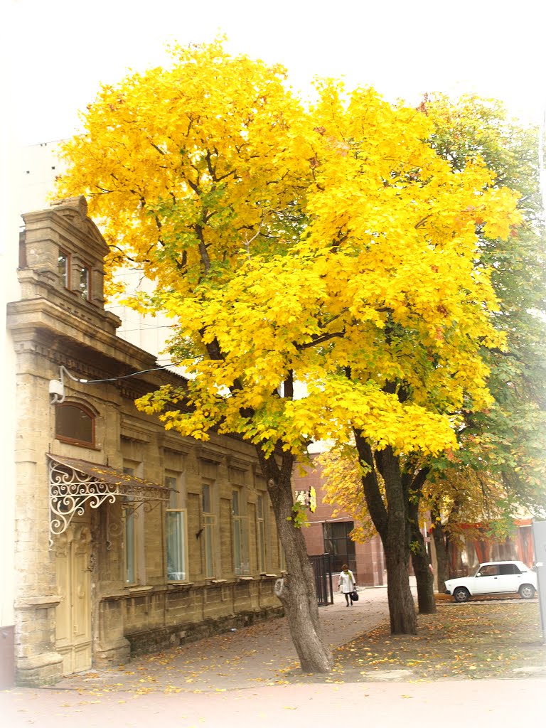 Autumn city., Ставрополь