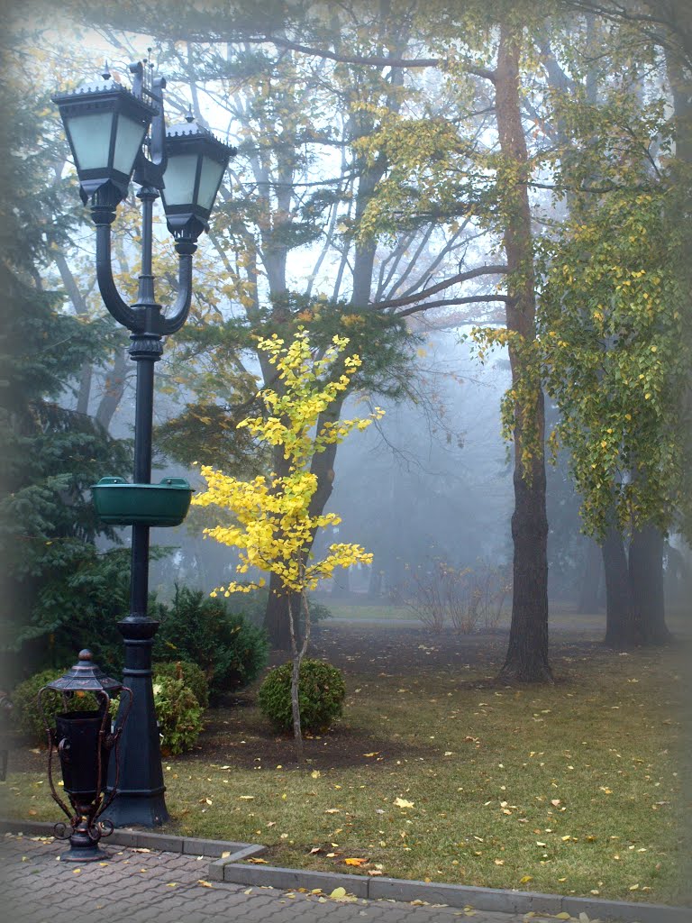 Autumn., Ставрополь