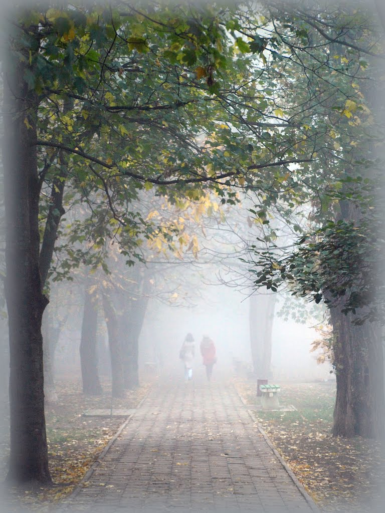 Autumn., Ставрополь