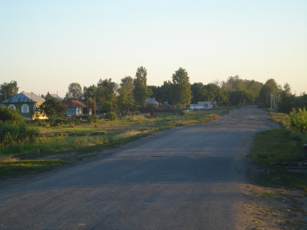 дорога между совхозом "Бондарсий" и СХТ, Бондари