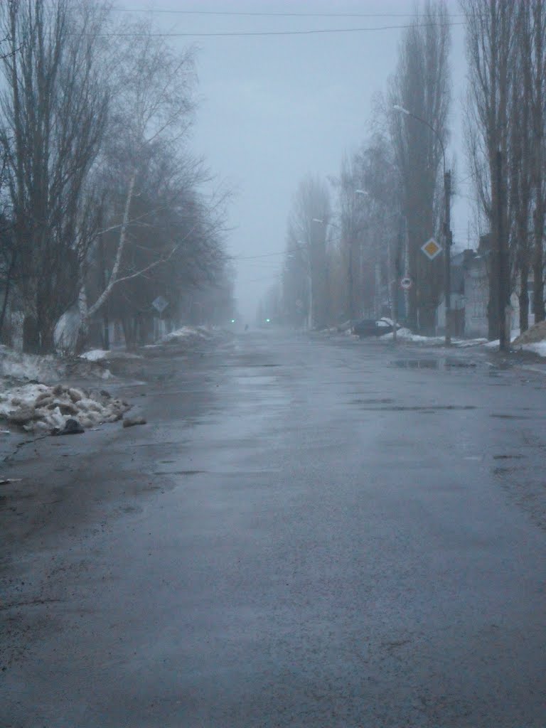 Туманная весна, Кирсанов