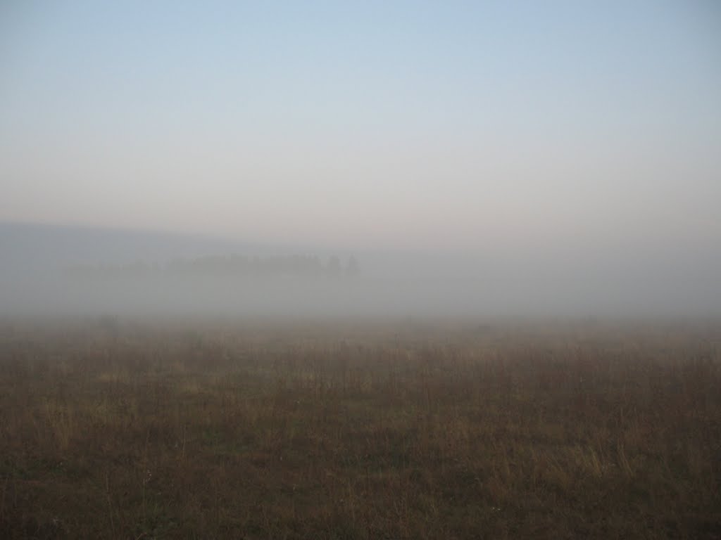 Туман, Котовск