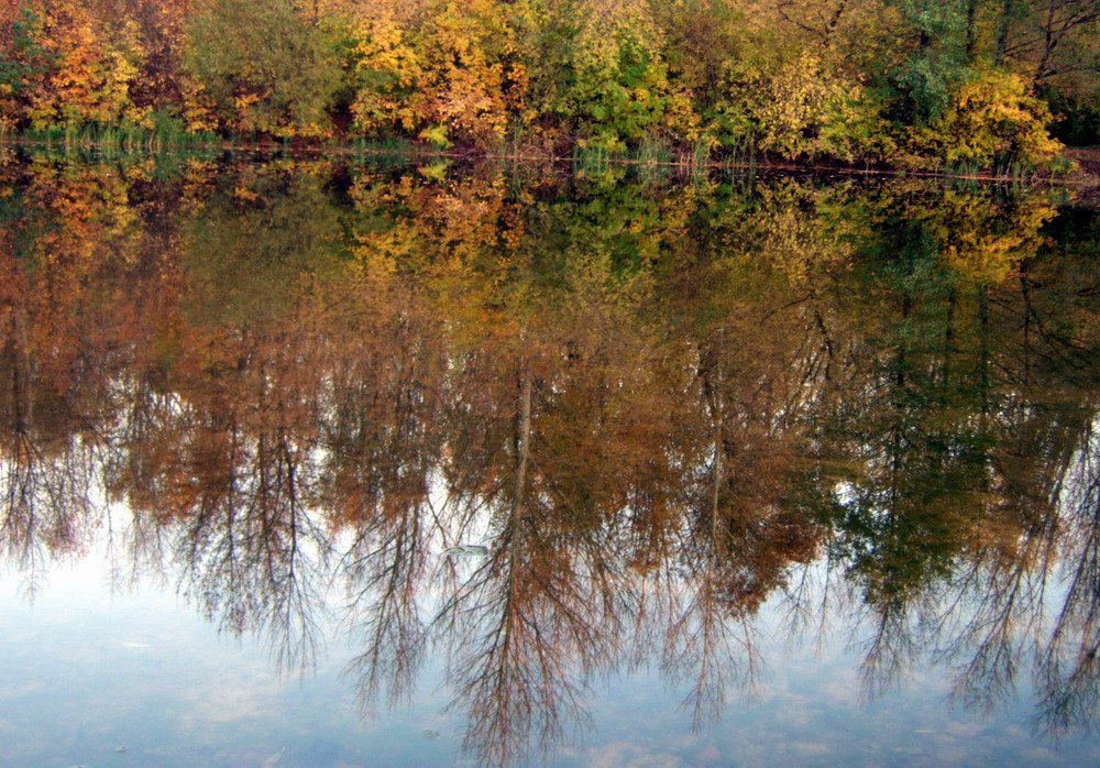Бабье лето" в Мичуринске - Мичуринский городской портал