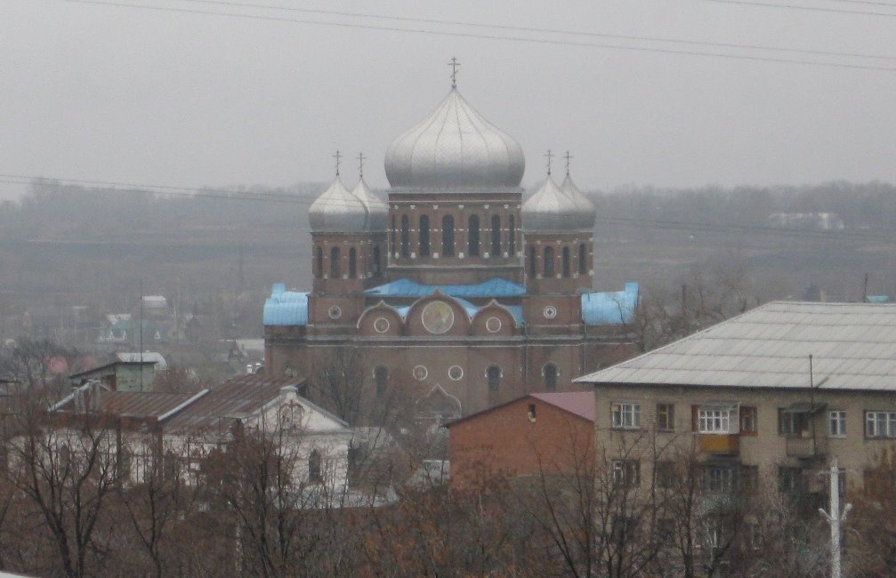 Боголюбский кафедральный собор, Мичуринск
