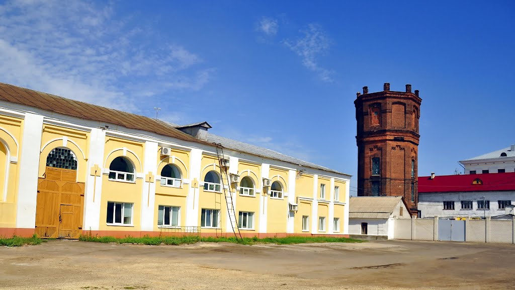 Вид со двора на вековую башню, Мичуринск