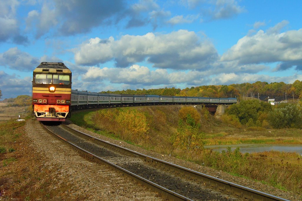 Пассажирский поезд на мосту через реку Битюг, с. Мордово, Мордово