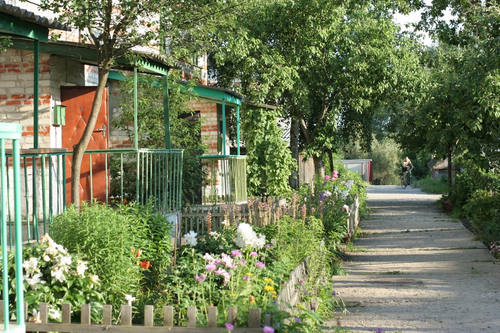 Flotskaya street, Моршанск