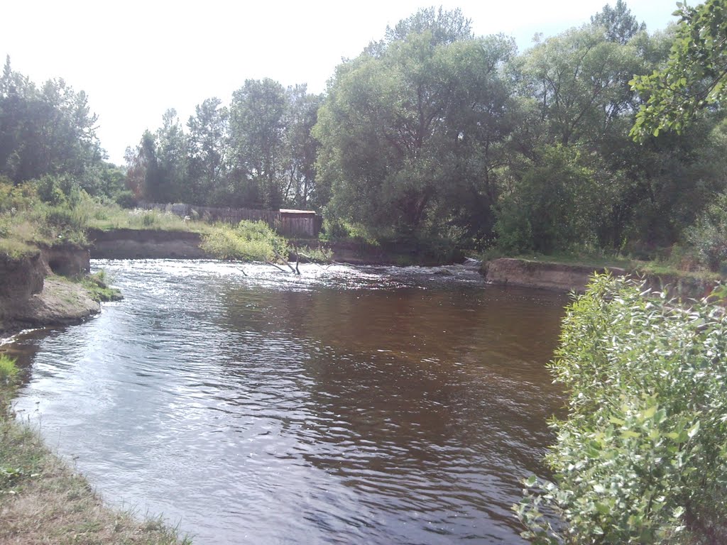 Ручей (7 Августа 2009 года), Моршанск