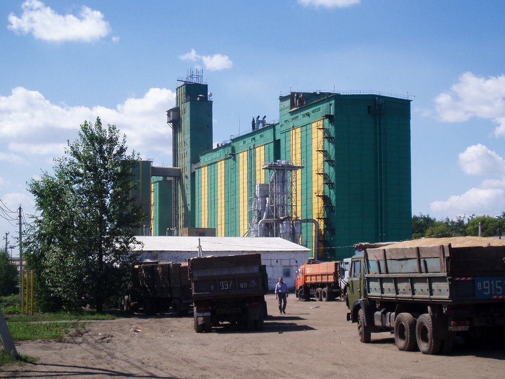 Izverdey Grain Elevator, Петровское